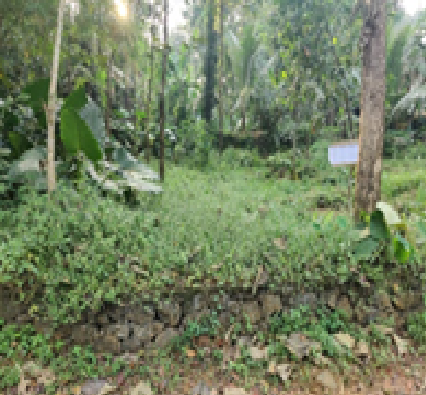 Sreelakshmi Match Works, Kerala (Archived)